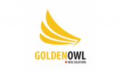                                                 golden owl consulting company                                             