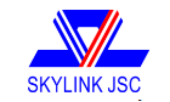 công ty cổ phần sky link