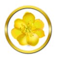 công ty TNHH in vải kỹ thuật số hoa mai vàng