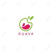 Công Ty Cổ Phần Dịch Vụ Vận Chuyển Và Xnk Guava