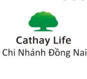Công Ty Tnhh Bảo Hiểm Cathay Việt Nam - Chi Nhánh Đồng Nai