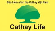 Công ty bảo hiểm Cathay life..