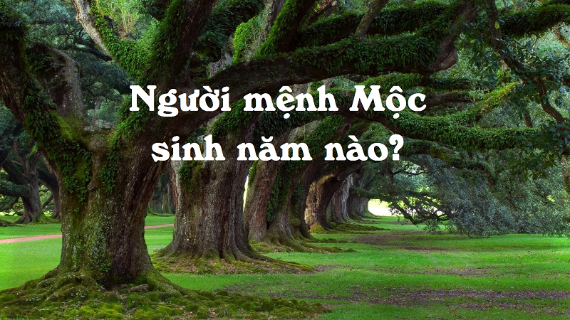 Năm sinh - Đôi nét về đặc điểm chung của nhóm người mạng mộc