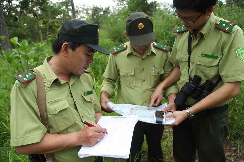  Nhân viên kiểm lâm 