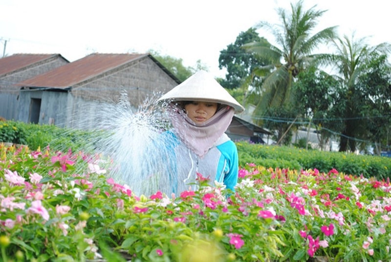 Cơ hội tìm việc làm tại Sa Đéc Đồng Tháp