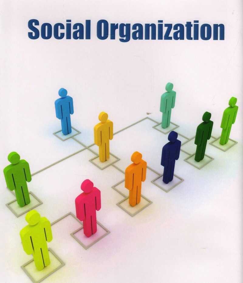 Tổ chức xã hội là gì Các thông tin cần thiết về tổ chức xã hội