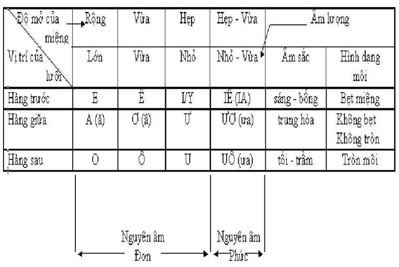 Âm đệm là yếu tố gì trong câu tiếng Việt?
