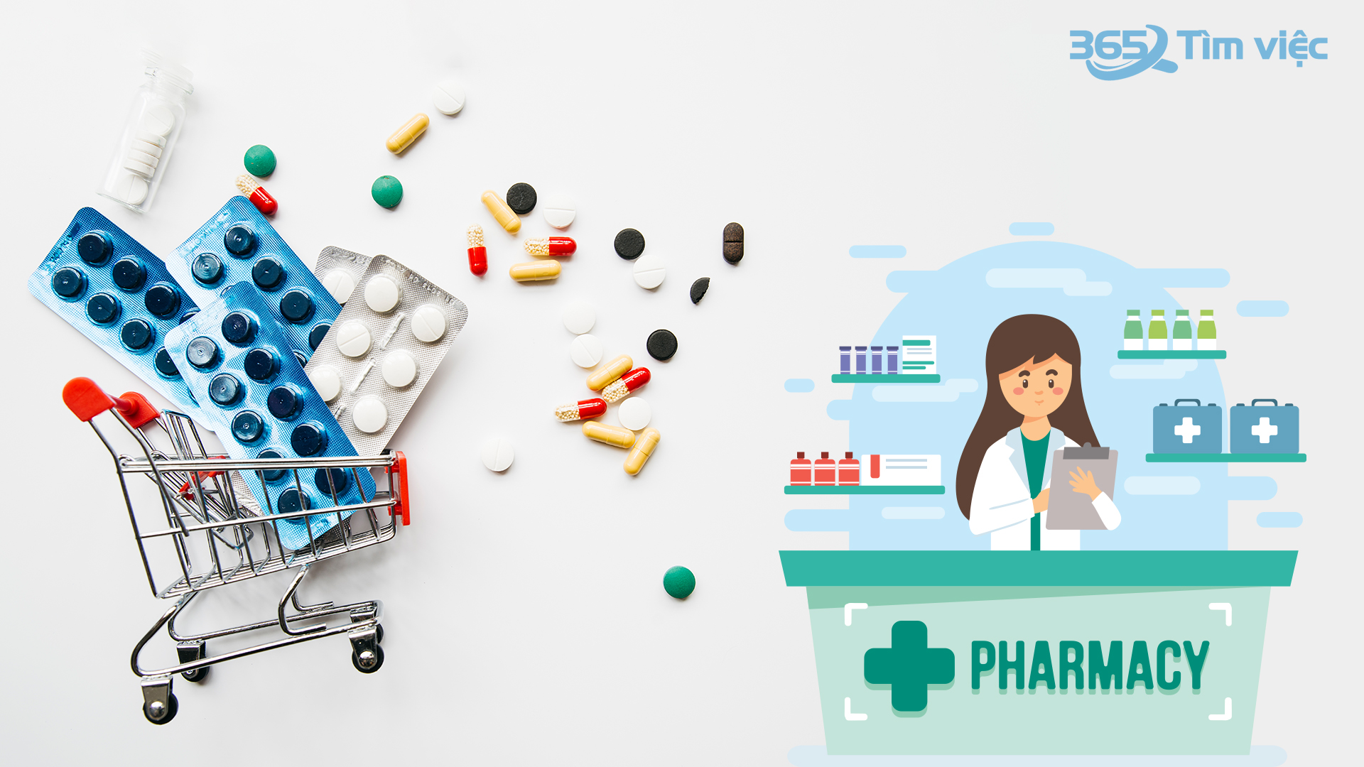  Tìm hiểu chung về công ty dịch vụ chăm sóc sức khỏe