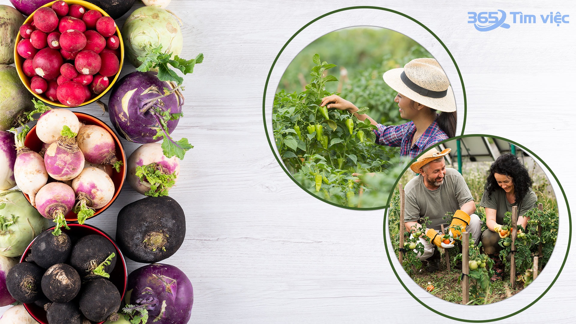 Những đặc điểm hiệu quả mà các công ty phân bón hướng tới 