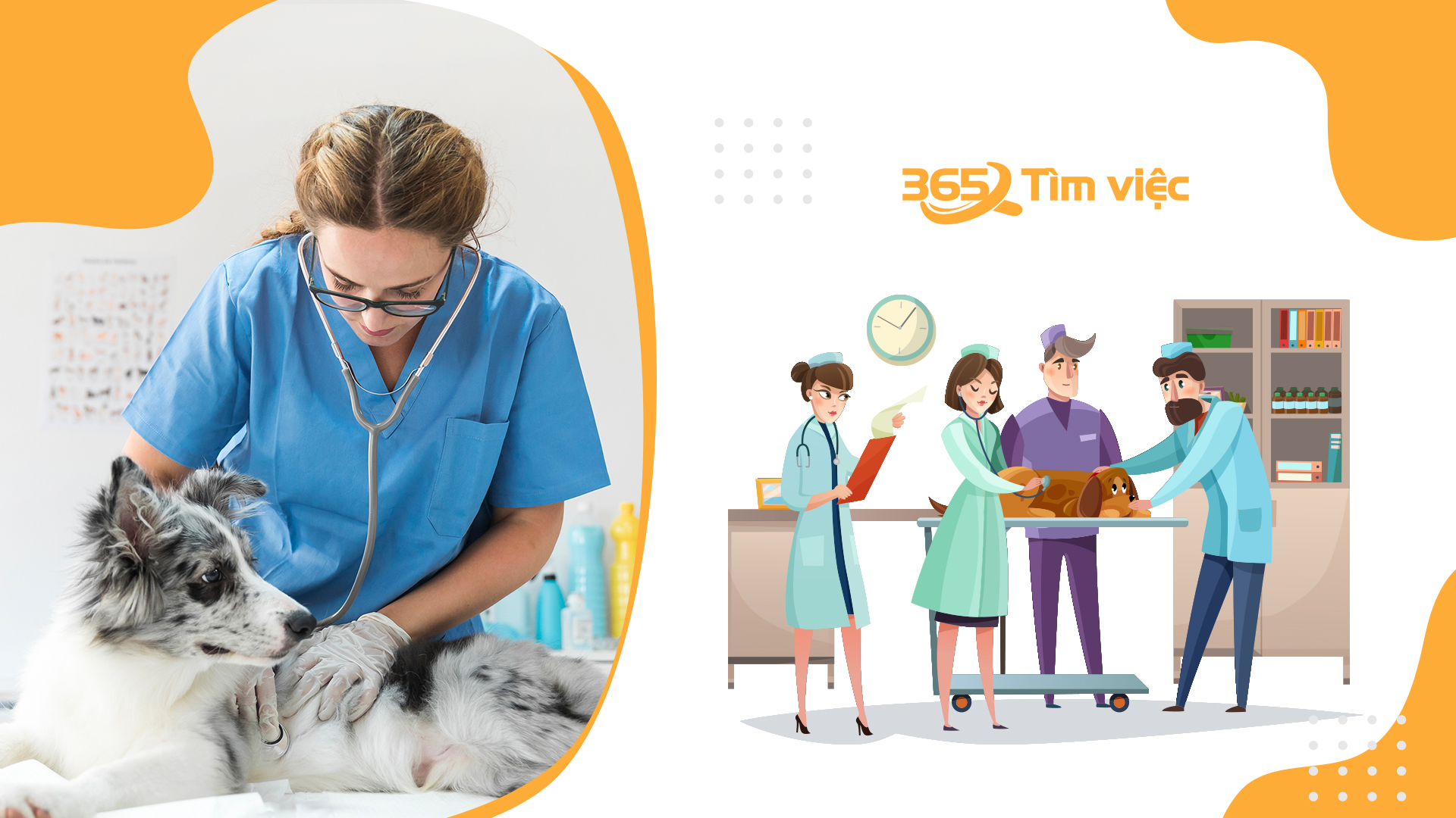 Tìm hiểu chung về công ty thuốc thú y