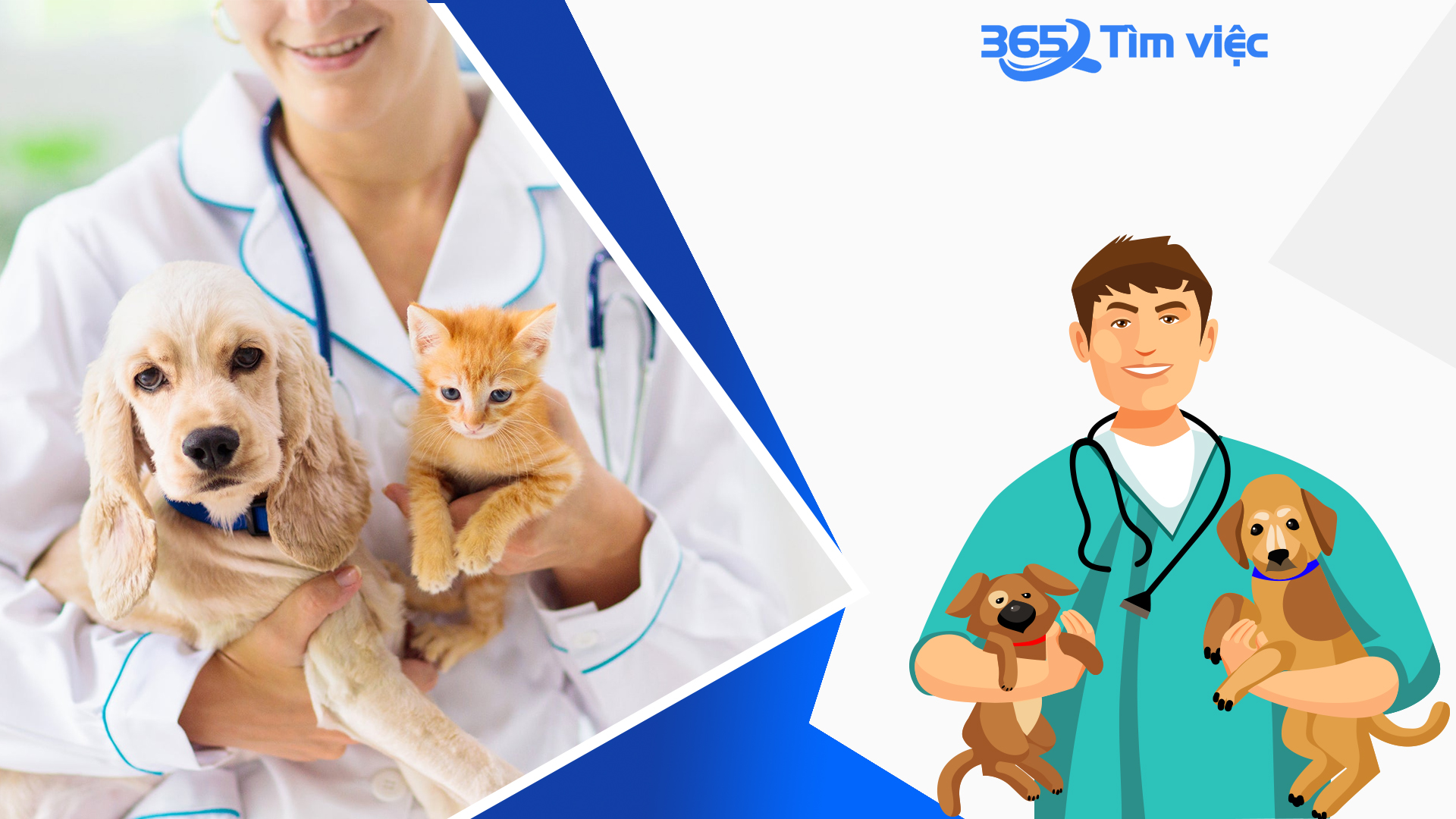 Đặc điểm chung của công ty thuốc thú y