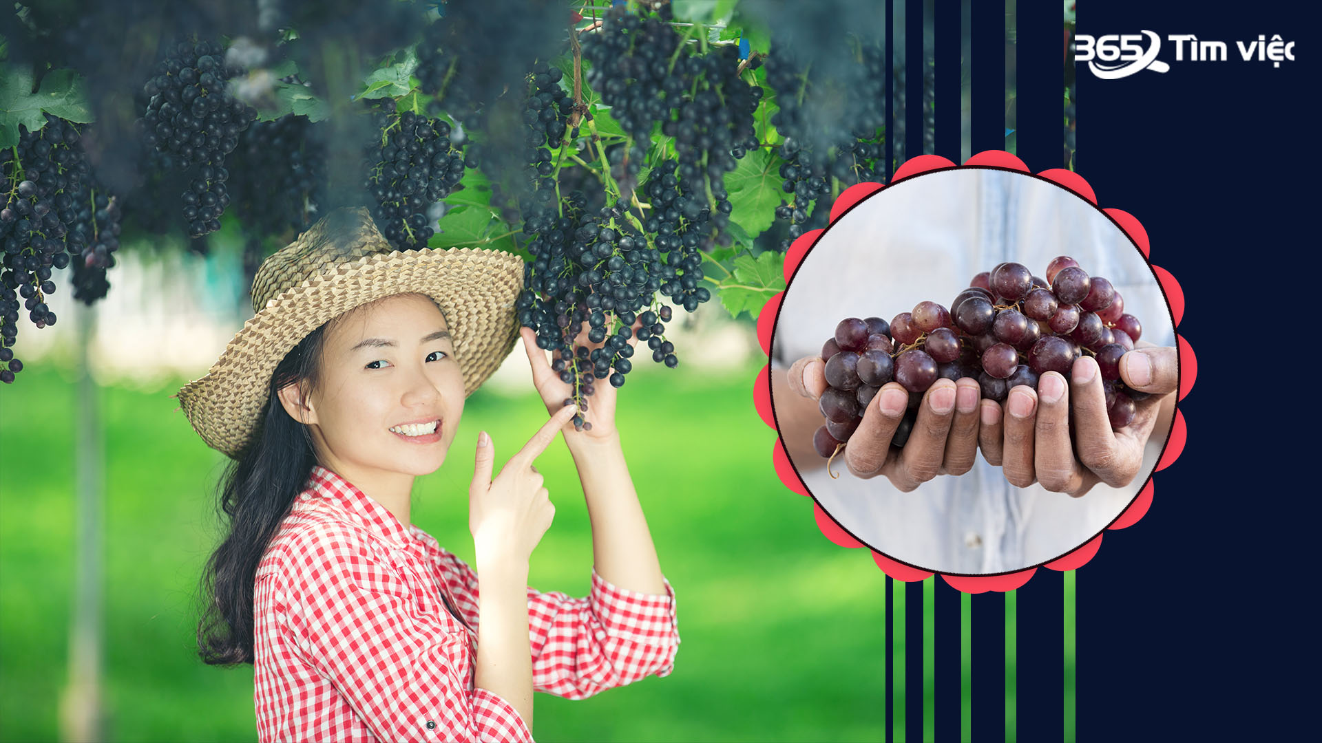 Công ty sản xuất rượu